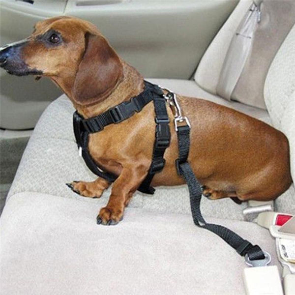 Free Puppy Safe - Dog Seat Belt – puppyall