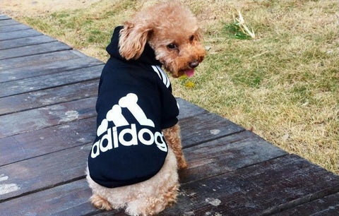 Pet Dog Hoodie Sweatshirt Clothes