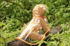 Transparent Dog Raincoat