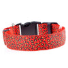 FREE Safety LED Leopard Dog Collar