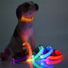 LED Leopard Dog Collar