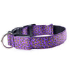 LED Leopard Dog Collar