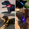 Luminous Safety Pet LED Collar
