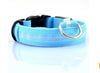 Luminous Safety Pet LED Collar