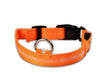 Luminous Safety Pet LED Collar