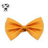 Cute Dog Bow Tie