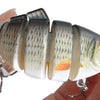 PRO BASS SWIMBAITS - Free Shipping