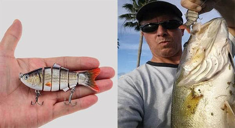 PRO BASS SWIMBAITS - Free Shipping